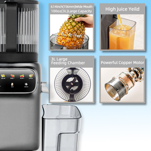Extracteur de jus à froid électrique personnalisé à haut rendement, pour <span class=keywords><strong>lait</strong></span> de soja, avec grande goulotte d'alimentation de 6,30 pouces, pour smoothies, faible bruit, extracteur lent - Product Image 3