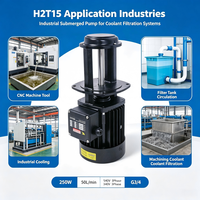 Pompe de circulation submersible H2T15 250W 220V/380V, pompe à liquide immergée, roue en acier inoxydable, usinage CNC EDM, basse pression