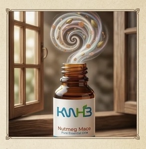 Aceite Esencial Puro de Nuez Moscada y Mace KWHB 5ml, Extractor Herbal para Uso Doméstico, Producto de Tailandia - Product Image 3