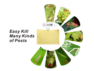 Trampas Adhesivas Amarillas de Doble Cara para Insectos Voladores de Plantas, Mosquitos, Moscas Blancas, Pulgones, Minadores de Hojas - Product Image 5