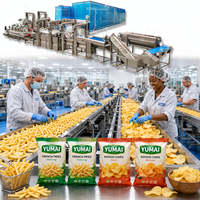 Línea de producción de papas fritas congeladas semifritas totalmente automática de 500 kg/h a gas industrial personalizada