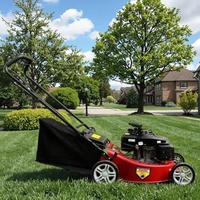 Tondeuse à gazon autoportée de haute qualité de qualité bricolage 460mm avec poignée pliante pratique et boîte à herbe caractéristique de collecte d'herbe