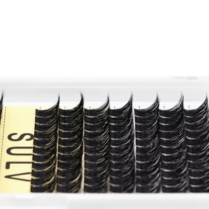 Bán Buôn Fluffy Tự Làm Lash Mở Rộng Màu Đen 156Pcs/Box14 Hàng Khay Lớn DD Curl 14-16Mm Hỗn Hợp Lash Cụm Wispy Lông Mi Mở Rộng - Product Image 4