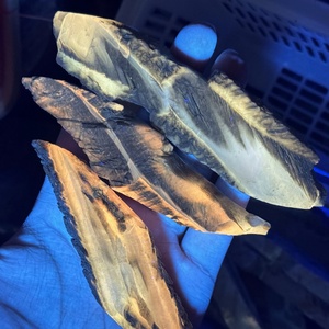 Venta al por Mayor de Pequeñas Piezas Naturales de Yeso Nepalí, Talladas a Mano, de Alta Calidad, Estilo Bohemio, Forma Irregular - Product Image 4