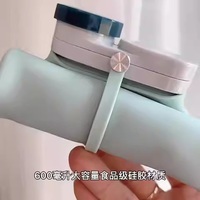 Bouteille d'eau de sport en silicone sans BPA, design créatif personnalisé en gros, toucher doux, bouteille pliable