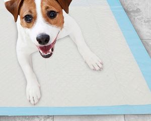 Coussinets d'apprentissage jetables pour animaux de compagnie, absorbants, avec logo personnalisé et bandes adhésives - Product Image 3