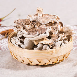 <span class=keywords><strong>Champignons</strong></span> Schizophyllum Commune Blancs Naturels Sauvages Séchés à Lames Fendues à Vendre - Product Image 2