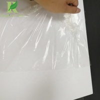 Film protecteur auto-adhésif anti-rayures en PE transparent pour plexiglas
