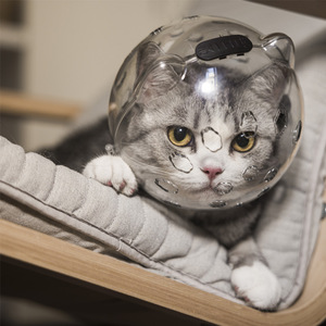 Doe Pet copricapo regolabile per gatti in stile semplice casco da gattino per evitare che mordano la pulizia da masticare respiri traspiranti cappuccio da gatto - Product Image 6