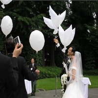Ballons de mariage en gros en forme de colombe blanche, ballons colombe de la paix, ballons brillants de dessin animé pour mariage