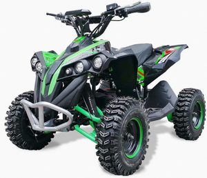 Exclusivo Vehículo Todoterreno Semiautomático de Cuatro Ruedas para Playa, 800W, 36V, Equipo de Entretenimiento - Product Image 4