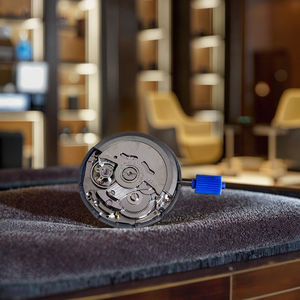 Cadran Aiguilles et Boîtier Personnalisés pour Mouvement de Montre Automatique Japonais 4130 3235 3135 3285 NH38 NH36 NH34 NH35 - Product Image 2