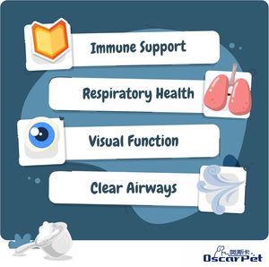 Suppléments nutritionnels <span class=keywords><strong>pour</strong></span> animaux de compagnie personnalisés <span class=keywords><strong>en</strong></span> usine <span class=keywords><strong>Lysine</strong></span> <span class=keywords><strong>poudre</strong></span> immunitaire <span class=keywords><strong>pour</strong></span> chats soutient le système immunitaire et la santé respiratoire <span class=keywords><strong>Lysine</strong></span> - Product Image 2