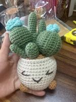 Ornamen pot rumah kreatif berpot kecil wol kaktus tenun bunga buatan tangan selesai