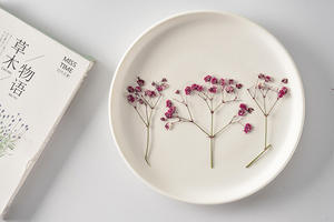 Gypsophila <span class=keywords><strong>Paniculata</strong></span> con Ramas, Manualidades DIY, Planta Natural Ecológica, Flor Prensada Real - Product Image 4