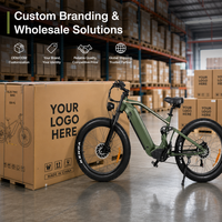 Vélo électrique EB-P2 d'usine 3000W 52V23Ah avec batterie au lithium et pneus larges, compatible OEM, production en série, faible coût de transport maritime