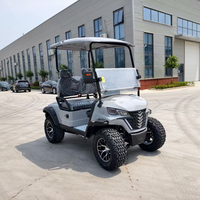 Lifted Off Road Diesel Golf Buggy 2 Seater Battery Operated Utility Cart for Industrial Park Theme Park Resort Maintenance Work