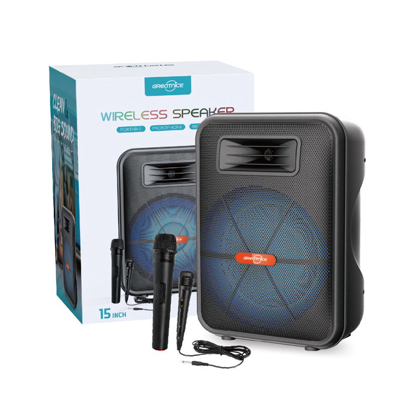15 Inch Bluetooth Party Subwoofer Speaker With Wired Microphones