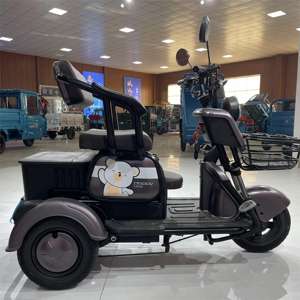 Tricycle électrique intelligent LB-XXX5 Mini 2024, tricycles électriques à propulsion électrique, tricycles électriques Tseeing pour usage commercial - Product Image 2