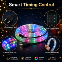 Flexibles PVC RGB LED-Lichtband IP67 Wasserdicht 100m/Rolle 360° Leuchten Garten Baum Umwicklung Partybeleuchtung Anpassbar