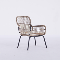 Chaises en rotin plastique pour jardin, canapé, fauteuil en cannage, chaises pour restaurant - Vente en gros