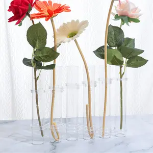 فازة زجاجية شفافة ،أزهار المنزل ، زهور الزراعة المائية تزين ترتيب الزهور