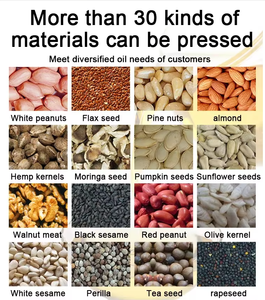Presse à huile électrique entièrement automatique pour <span class=keywords><strong>avocat</strong></span>, tournesol, soja et huiles organiques, idéale pour les petites entreprises et l'usage domestique - Product Image 6