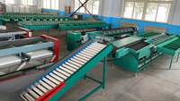 Automatische fruit sorteermachine voor kiwi, mango en drakenvrucht, inclusief weegfunctie.