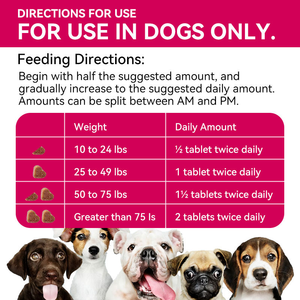 Alergia Probiótico Immue Soft Chews para perros de compañía Fomenta la levadura saludable y la función digestiva - Product Image 3