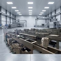 Machine voor het maken van landbouwdruppelirrigatieband voor de productie van ingebouwde druppelirrigatieband
