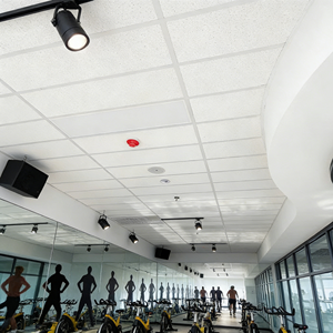 แผงกันเสียงสำหรับใช้ในการประชุมเชิงปฏิบัติการแผ่นฝ้าเพดานแบบแขวนทำจากขนหินอะคูสติก - Product Image 5