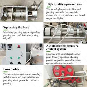 Máquina Prensa Expulsora de Aceite de Semillas de Girasol, Mostaza y Cacahuete Pequeña de Sudáfrica - Precio en Pakistán - Product Image 3