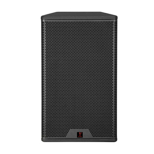 Altoparlante Professionale Full-Range da 12 Pollici con Driver per Teatri, Auditorium e Stadi Sportivi - Product Image 2