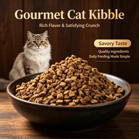 Croquettes pour chats gourmands au goût riche et à la texture croquante satisfaisante, ingrédients de qualité pour une alimentation quotidienne simple, nourriture sèche complète pour chats
