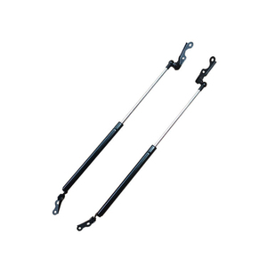 6896059025 Amortiguador de Gas para Puerta Trasera <span class=keywords><strong>Maletero</strong></span> Toyota Yaris Vitz 1999-2001 - Product Image 4