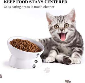 Comedero Doble para Perros y Gatos, Tazones Elevados de Cerámica para Comida Fresca, Gran Venta - Product Image 3