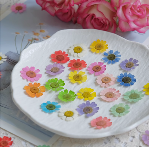 12 pièces/sac de camomille teintée à la main signets cire sceau résine époxy artisanat <span class=keywords><strong>plante</strong></span> naturelle pressée fleurs séchées - Product Image 3