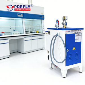 Chaudière à vapeur miniature portable, petit générateur <span class=keywords><strong>de</strong></span> vapeur électrique pour modèle <span class=keywords><strong>de</strong></span> locomotive à vapeur et expériences éducatives - Product Image 1