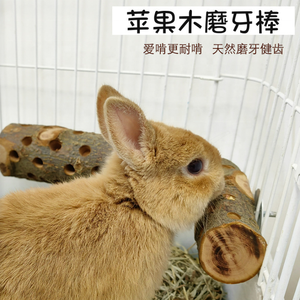 Fabrika toptan fiyat Bunny kapalı tavşan kafesi <span class=keywords><strong>Run</strong></span> oyun chew oyuncak elma sopa - Product Image 2