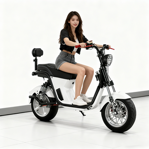 Venta Directa de Fábrica: Scooters Eléctricos con Neumáticos Anchos de Alta Gama y Baterías de Alta Calidad - Product Image 6