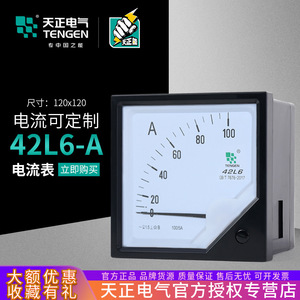 Amperímetro Analógico de CA Tengen 42L6, 100.5A, Clase 1.5, Monofásico, para Panel - Product Image 4