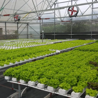 Système hydroponique à canal NFT en PVC de qualité alimentaire avec pente intégrée et support de charge lourde pour l'agriculture en serre