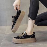 Chaussures plates sportives en toile pour femmes 2026, noires, décontractées, à lacets, semelle épaisse, baskets de marche, streetwear, pour le quotidien, lumineuses, automne