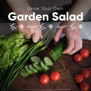 Coffret cadeau de légumes biologiques anciens comprenant des tomates cerises, de la laitue romaine, des pois sucrés, à suspendre, pour la maison ou le jardin - Product Image 4