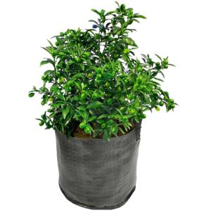 Bolsa de cultivo portátil HOKBG negra PP 20 30 40 60 litros para plantar vegetales tomates arándanos con asas precio de fábrica - Product Image 1