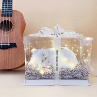 Belle peluche chat chiot jouets boîte de présentation carrée éclairer miaou simulé peluche peluche cadeau Saint Valentin