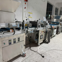 Semoir automatique de précision LG pour pépinière, alimenté par moteur 220V/120W, haute capacité 550 plateaux/heure, pour semis en plateaux alvéolés