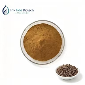 Suplementos Herbales de Alta Calidad, Extracto Natural de Semillas de Cebolleta China en Polvo, Suplementos Nutricionales - Product Image 1