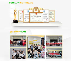 CDT от двери до двери, эффективное экспедирование грузов в Италию/Нидерланды/Португалия/Румыния/Poland Ups <span class=keywords><strong>Dhl</strong></span> Fedex - Product Image 6