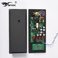 Module d'amplificateur de puissance Skymusic avec interrupteur pour subwoofer de 12'', 15'', 18''